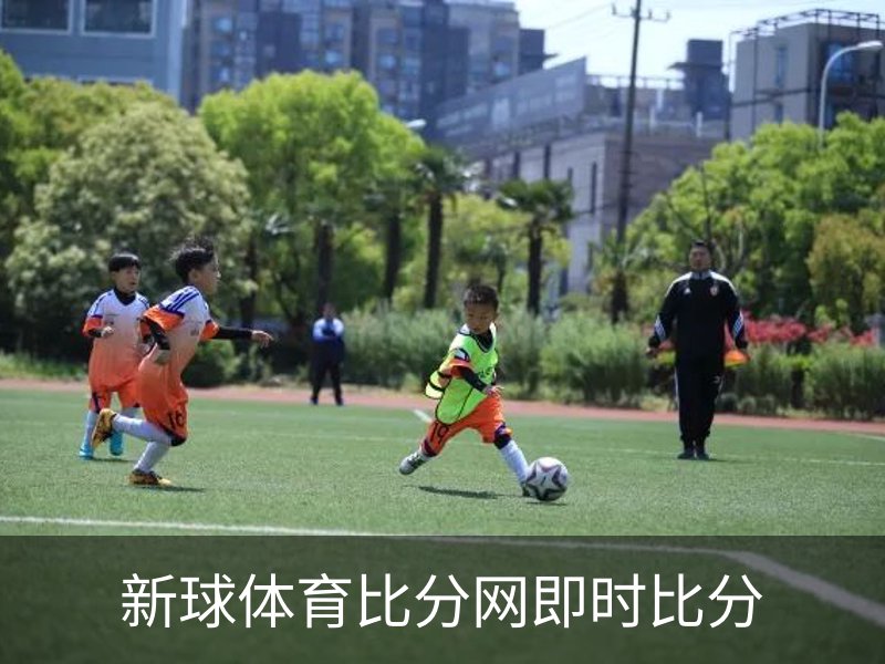 新球体育比分网即时比分介绍